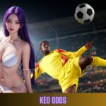 Đọc Kèo Cược Rikvip Và Canh Kèo Odds Như Dân Cá Cược Pro